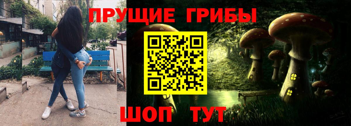 Псилоцибиновые грибы GOLDEN TEACHER  Вход с VPN  наркота  Мыски 