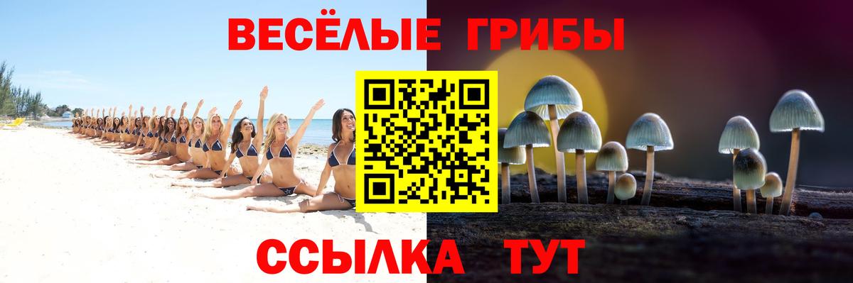 Псилоцибиновые грибы Psilocybine cubensis Мыски